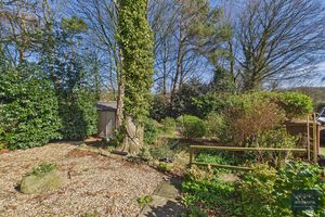 Photo 47- click for photo gallery